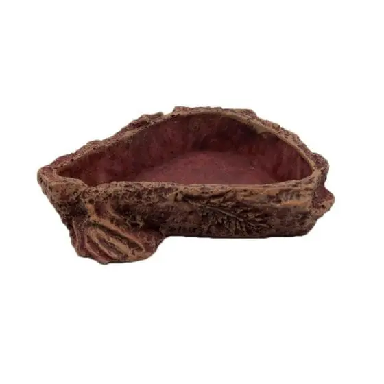 Bardzo mała miseczka do terrarium rozmiar 6x6x1 cm - obrazek 2