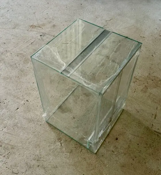 Terrarium dla gekona orzęsionego - obrazek 2