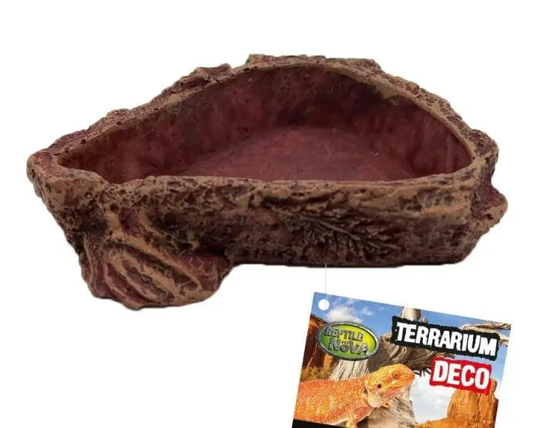 Bardzo mała miseczka do terrarium rozmiar 6x6x1 cm