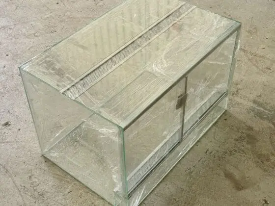 Terrarium dla gekona lamparciego | Turtles.pl | Poznań
