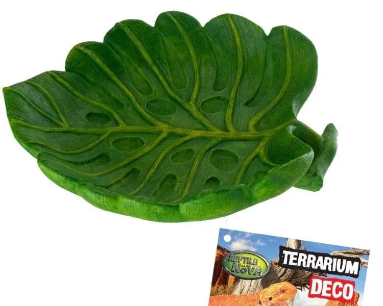 Mała miseczka do terrarium rozmiar 15x13,5x3,5cm