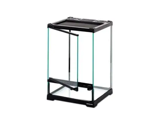 Repti-Zoo terrarium dla modliszki, pająka - obrazek 4