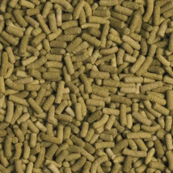 Tropical Biorept L. pokarm dla żółwia lądowego - obrazek 2