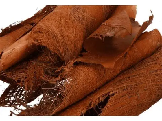 Kora z drzewa kokosowego naturalna