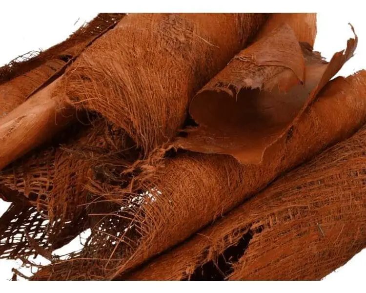 Kora z drzewa kokosowego naturalna