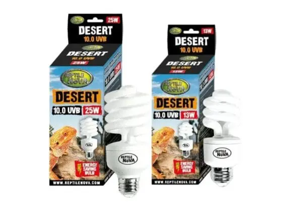 Reptile Nowa Desert 10.0