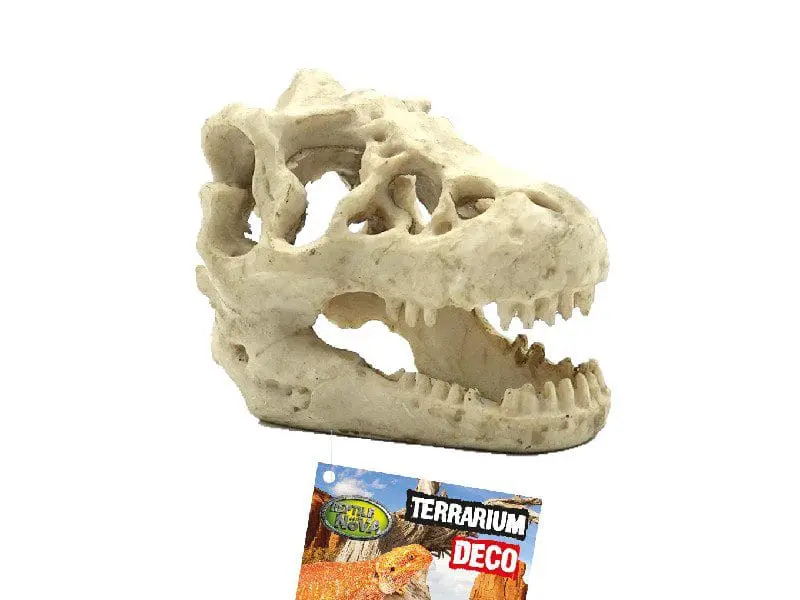 Czaszka dinozaura kryjówka do terrarium dla gadów rozmiar 16x11x9cm Czaszka dinozaura Kryjówka do terrarium dla gadów rozmiar 16x11x9cm