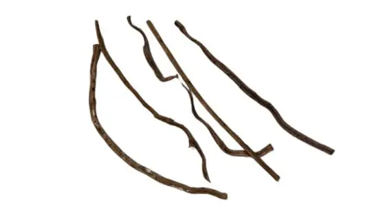 Liana naturalna Sapla Thick 100cm - obrazek 2
