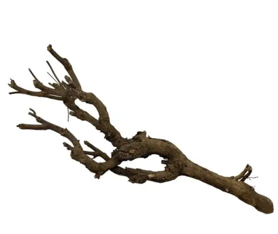 Twig bundle gałąź ozdobna do terrarium 45 - 50cm - obrazek 2