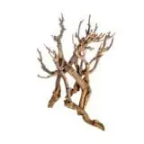 Twig bundle gałąź ozdobna do terrarium 45 - 50cm