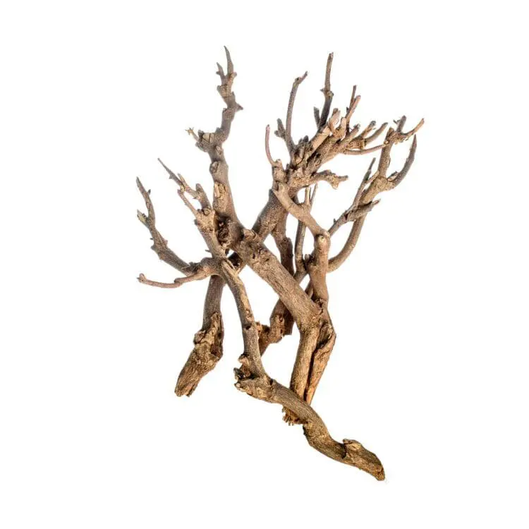 Twig bundle gałąź ozdobna do terrarium 45 - 50cm