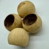Tykwa Bell cup 3-5 cm naturalna 1szt.