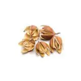 Lilly Wild 1 szt.