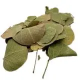 Monetka leaf 10szt.