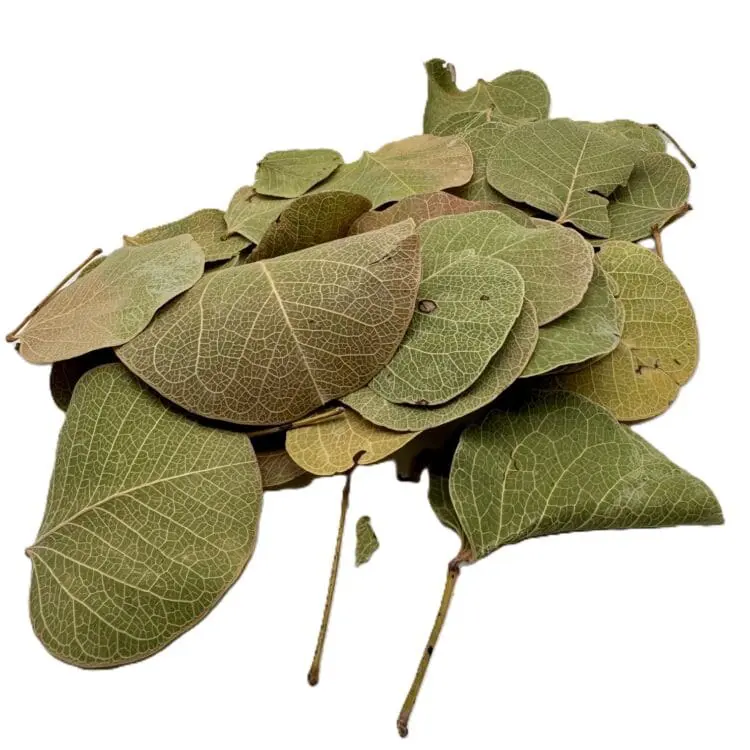 Monetka leaf 10szt.