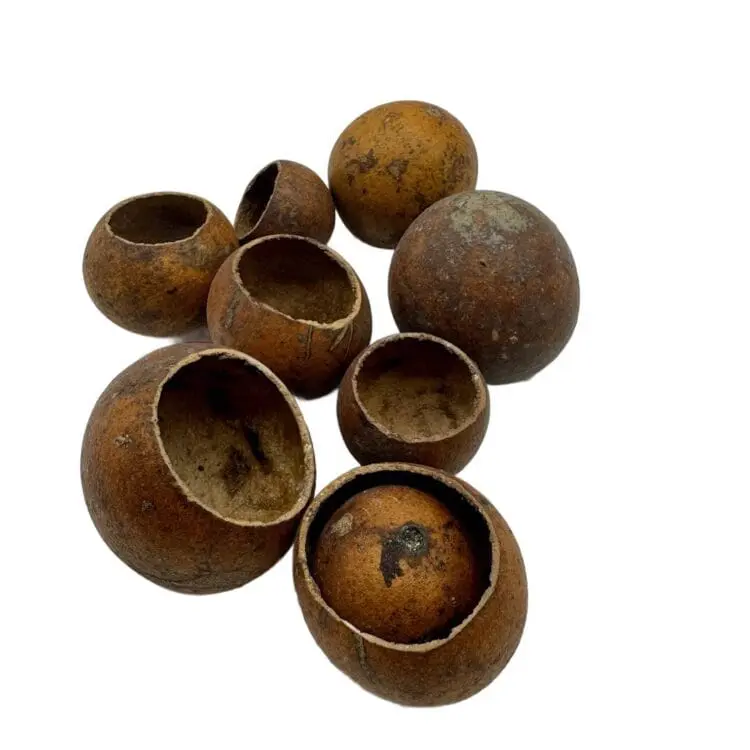 Kuruchi Fruit 3-5cm