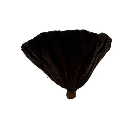 Suszony lotos L 8cm do terrarium - obrazek 3