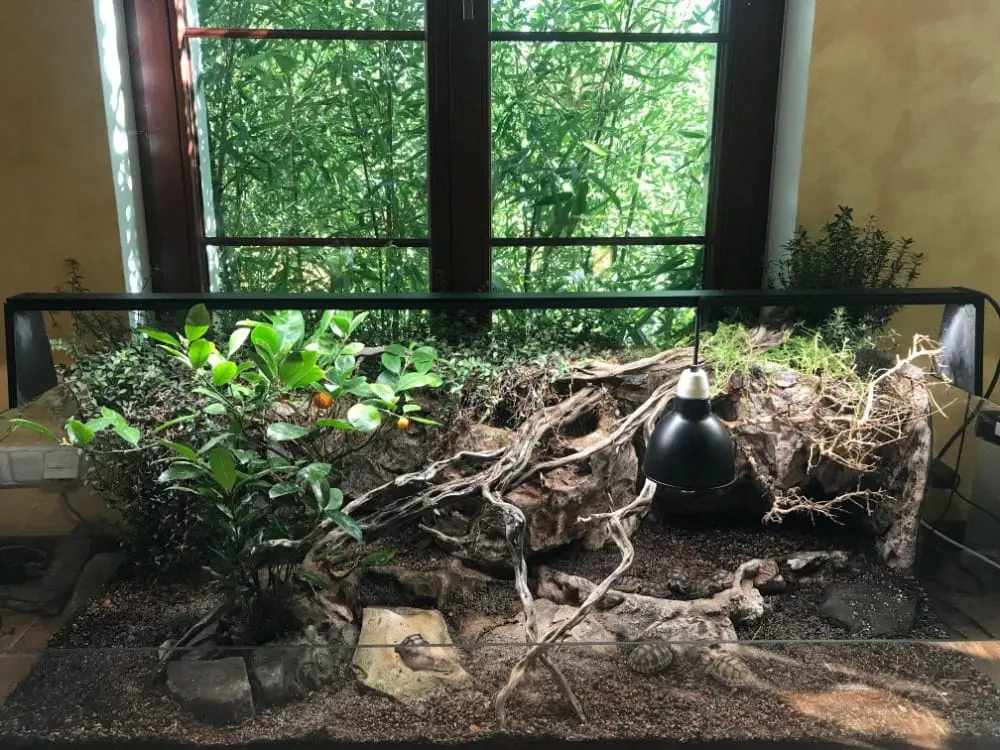 Substrat dla żółwi lądowych do terrarium biotop dla żółwia lądowego