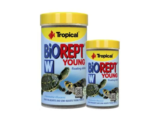 biorept w young pokarm dla żółwia wodno-lądowego
