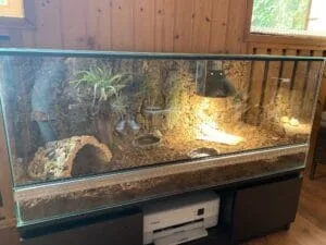 terrarium dla gadów z wentylacją