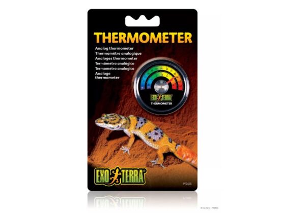 termometr analogowy Exoterra termometr do terrarium