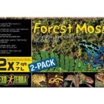 Forest Moss Tropical