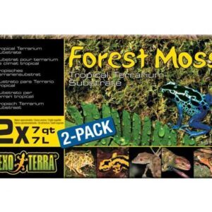 Forest Moss Tropical