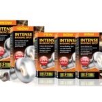 żarówka intense basking spot