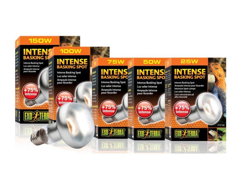 Żarówka Intense Basking Spot Exoterra żarówka intense basking spot