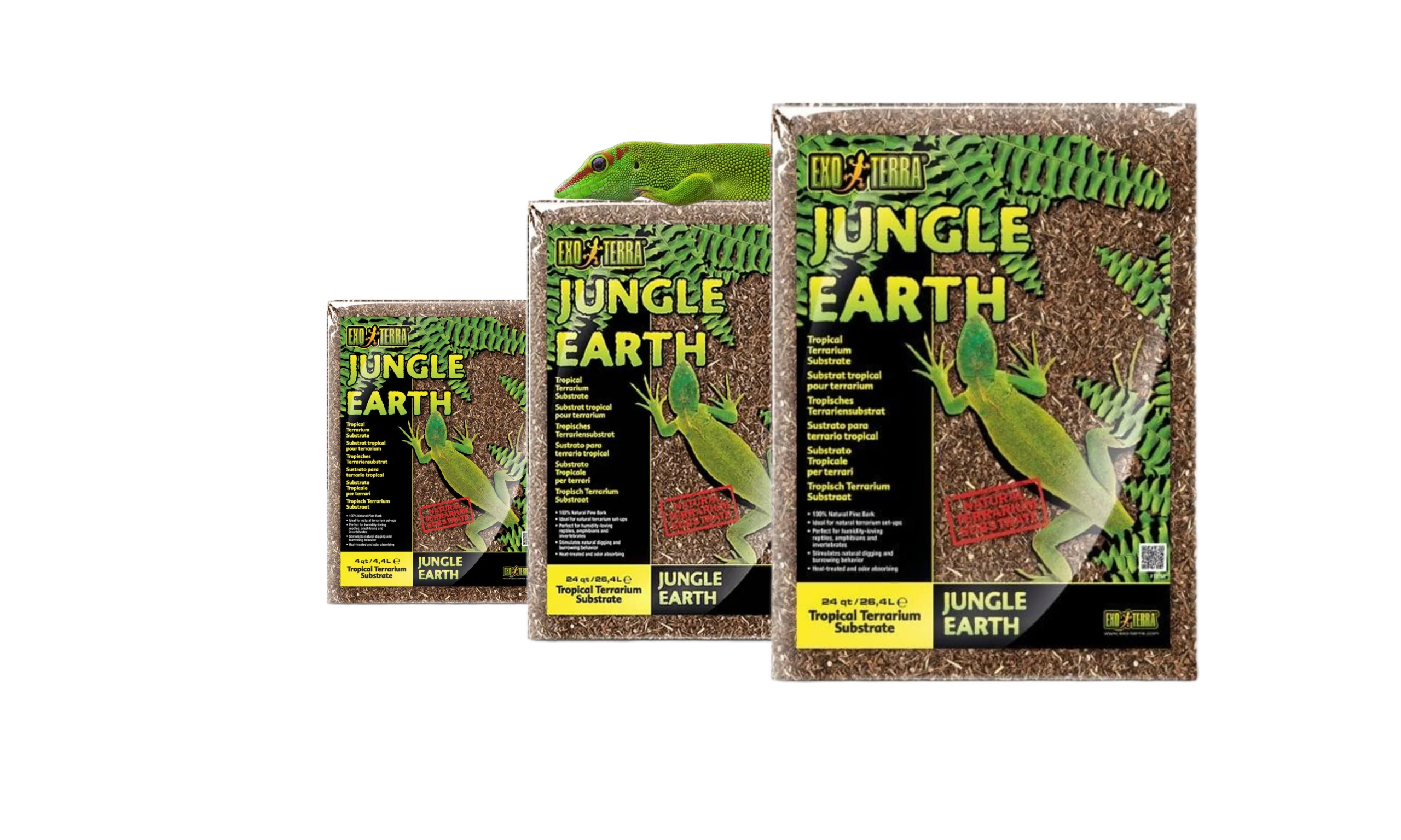 podłoże jungle earth