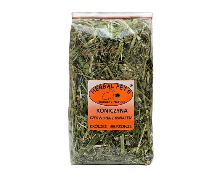 koniczyna czerwona z kwiatem