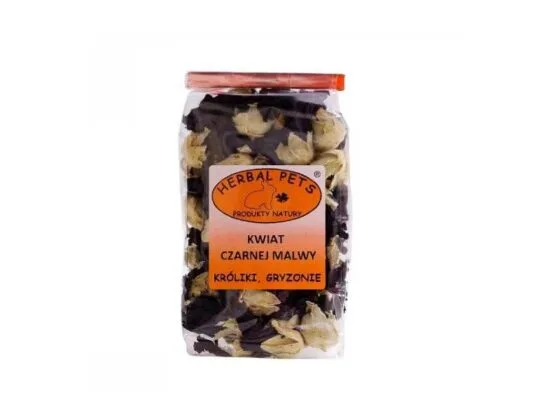 kwiat czarnej malwy