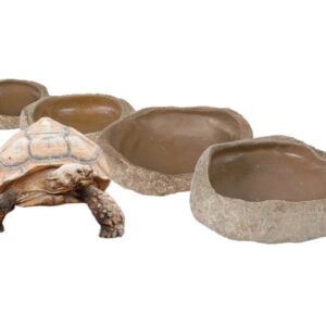 miska na wodę lub pokarm Trixie miska do terrarium miska dla żółwia