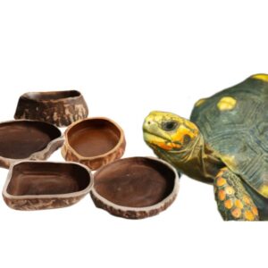 miseczka ceramiczna dla gadów miseczka ceramiczna na wodę