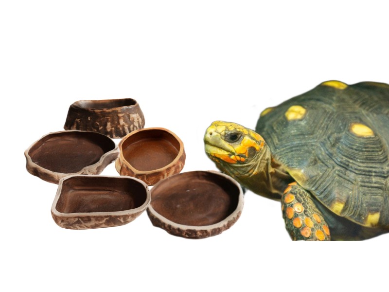 miseczki ceramiczne dla gadów miseczka ceramiczna dla gadów miseczka ceramiczna na wodę