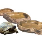 miseczka na pokarm exoterra