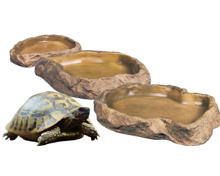 miseczka na pokarm exoterra