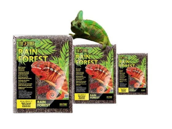 podłoże rain forest dla kameleonów
