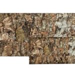 ścianka korkowa do terrarium tło do terrarium