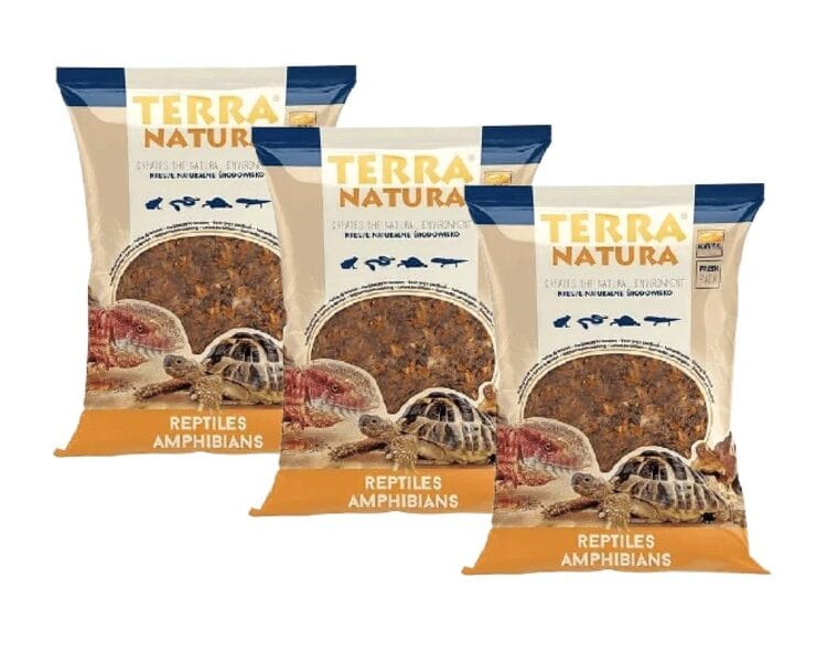 kora terra naturalna kora do terrarium