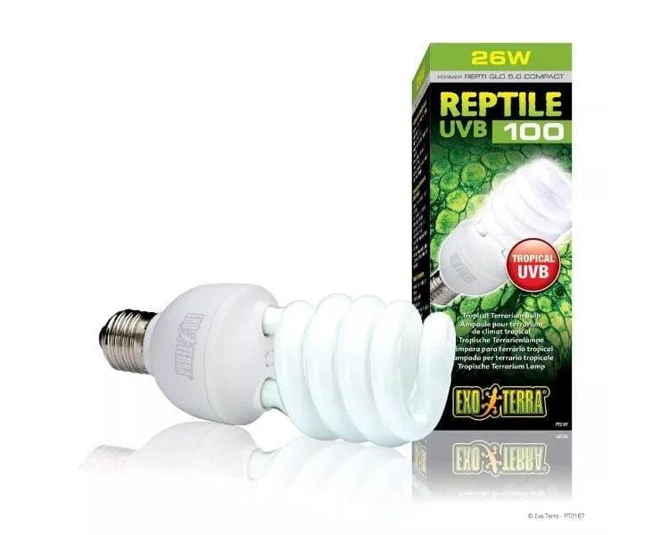 Żarówka UVB 100 25W od Exoterra Repti żarówka dla gadów Sklep terrarystyczny Poznań żarówki do terrarium