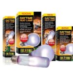 daytime heat exoetrra