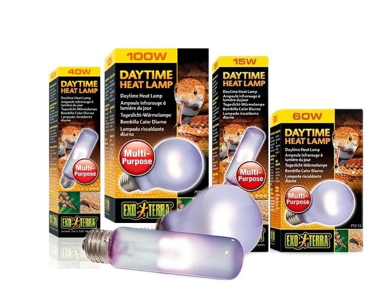 daytime heat exoetrra