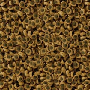 Sera Reptil Professional Herbivor