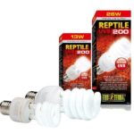 reptile uvb 200 exoterra