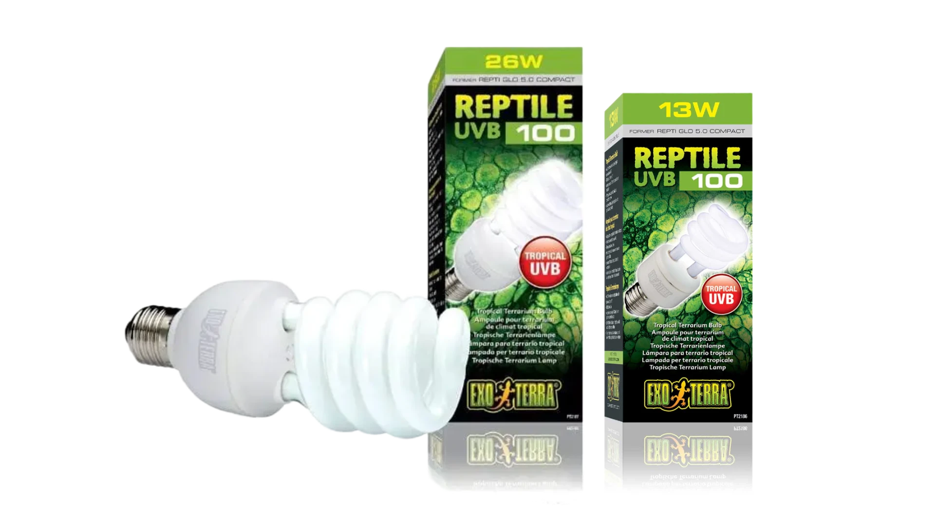 reptile 100 UVB