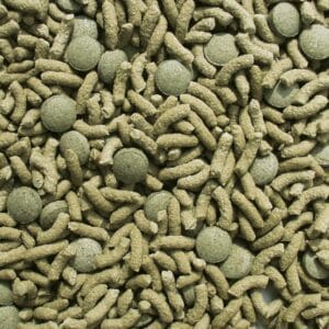 Sera Raffy Vital Nature