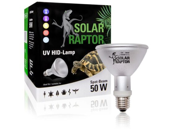solar raptor 50W spot Solar Raptor HID 50W lampa dla żółwia wodno-lądowego w terrarium