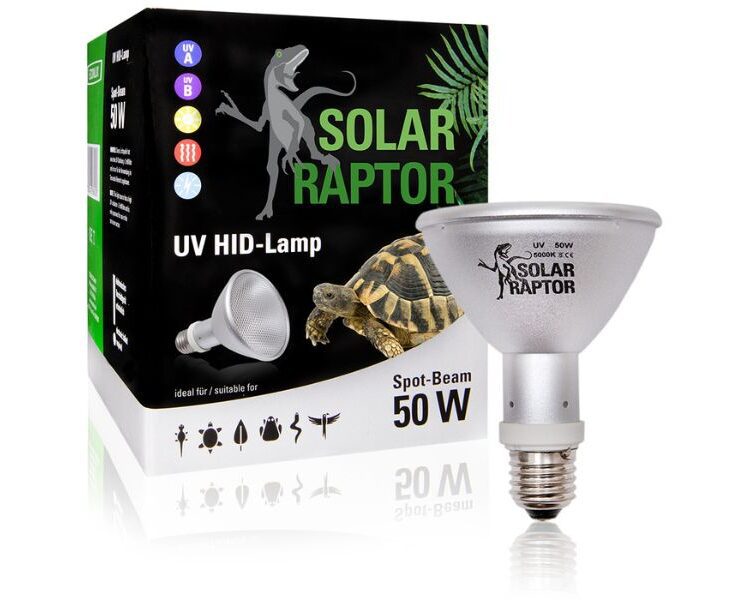 solar raptor 50W spot Solar Raptor HID 50W lampa dla żółwia wodno-lądowego w terrarium