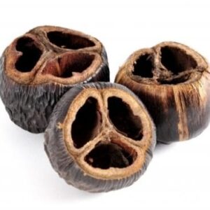 Talami naturalne susz ozdobny